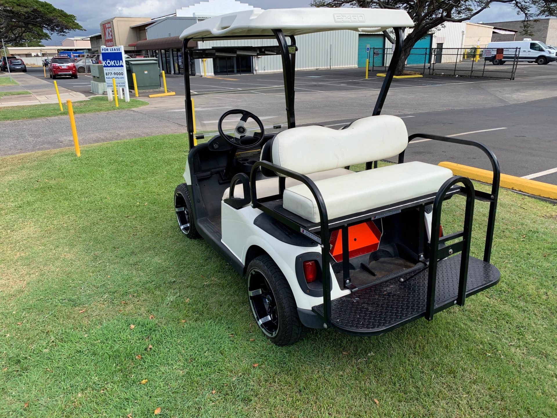 2014 EZGO RXV Golf Cart Maui