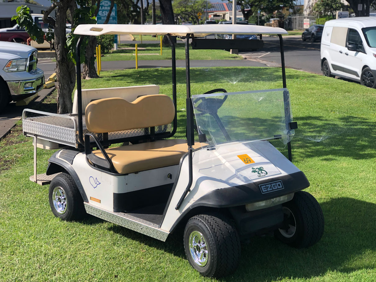 2002 EZGO TXT | Golf Cart Maui
