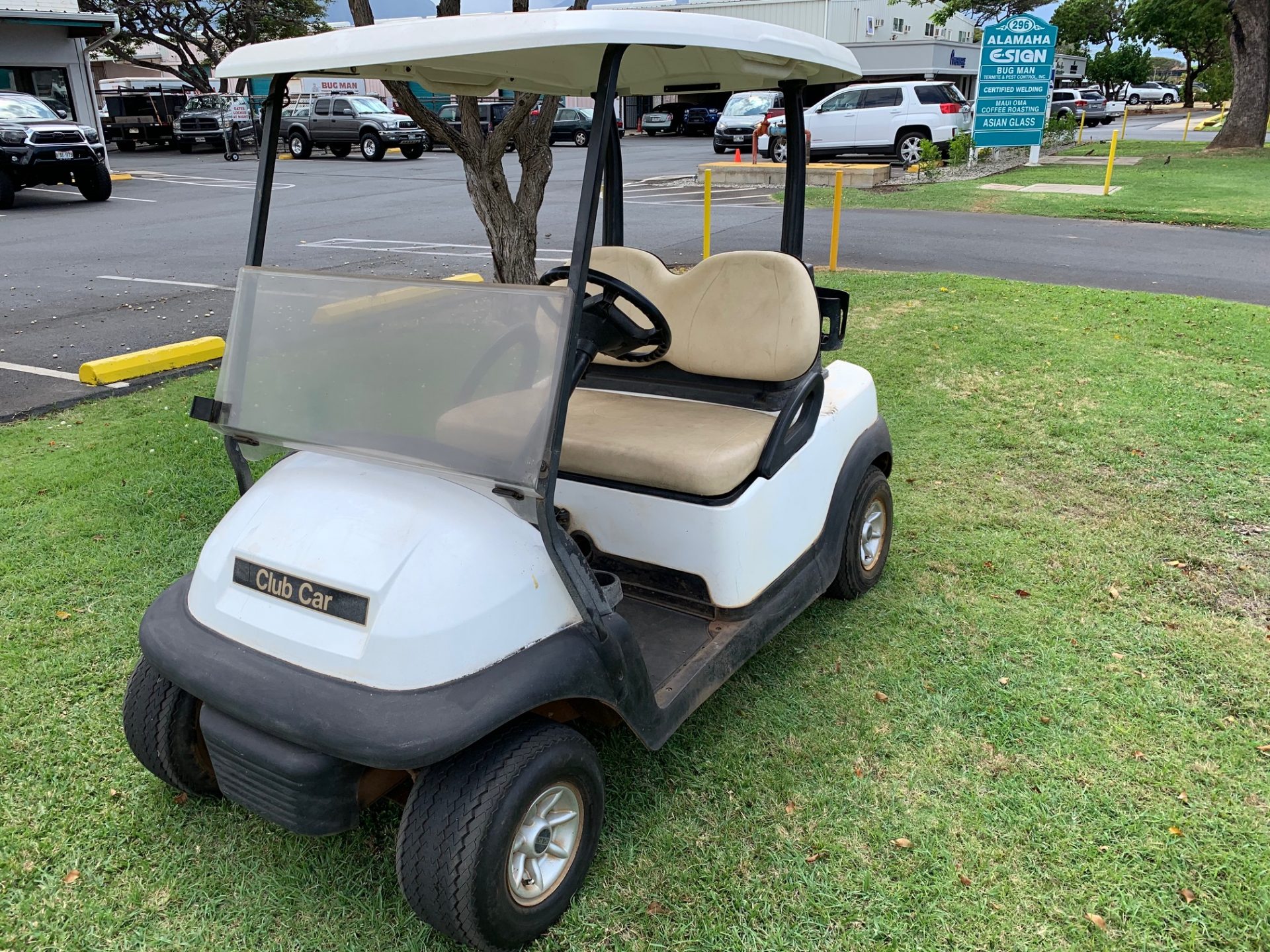 2009 Club Car Precedent | Golf Cart Maui
