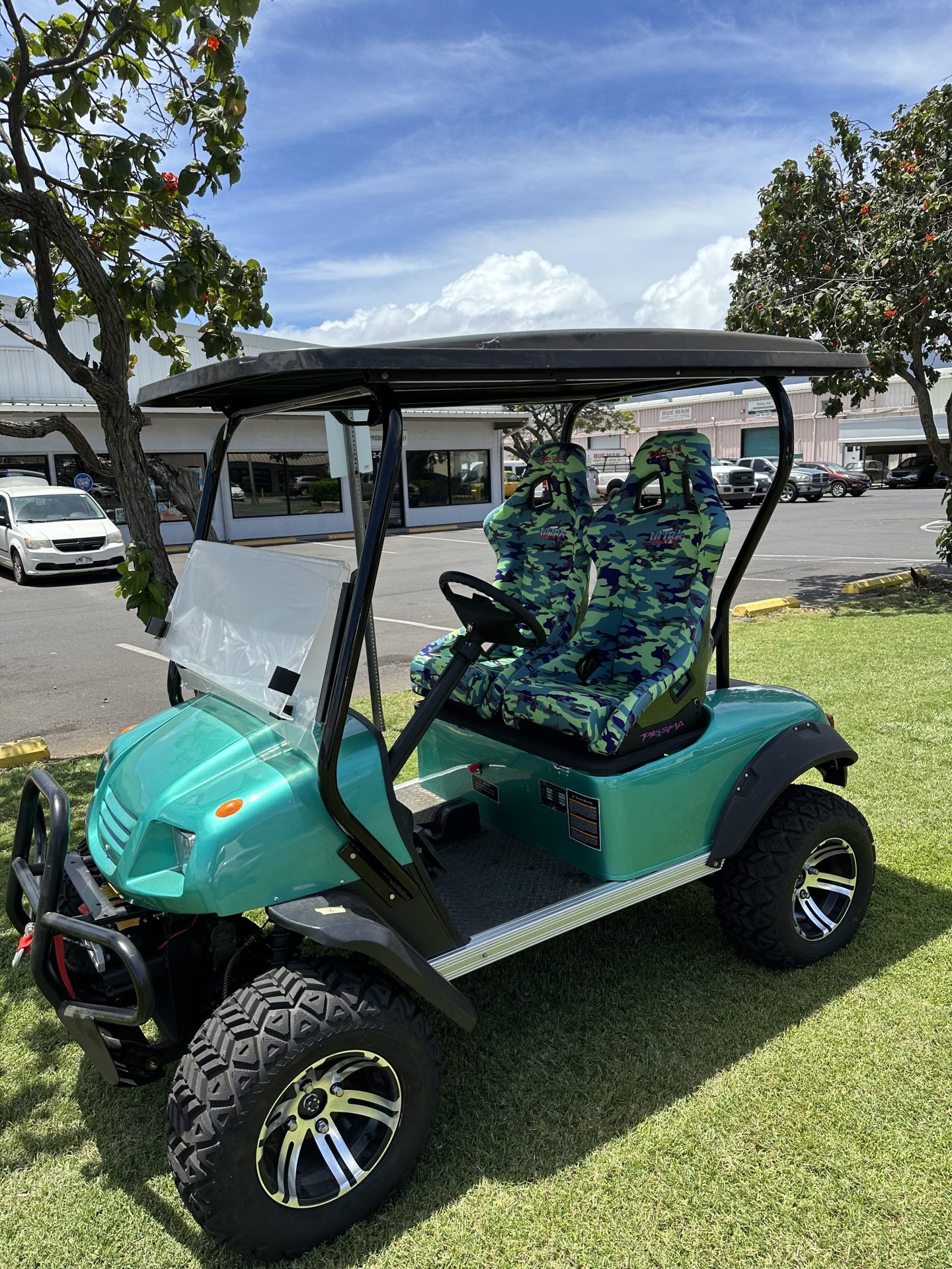 Top 45+ imagen prisma golf carts abzlocal fi