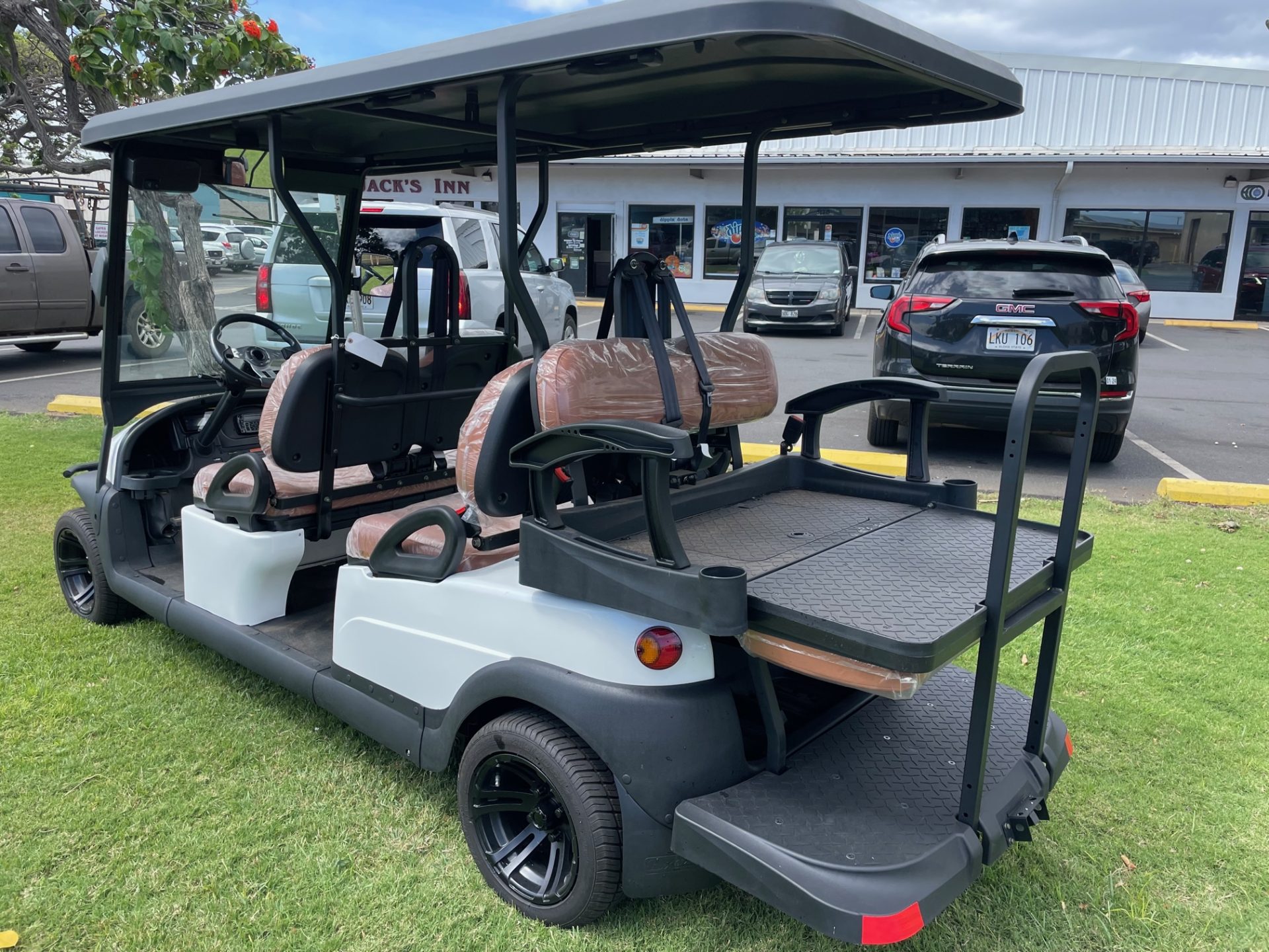 Order Now 2024 ELand 6 Passenger Lithium Golf Cart Maui